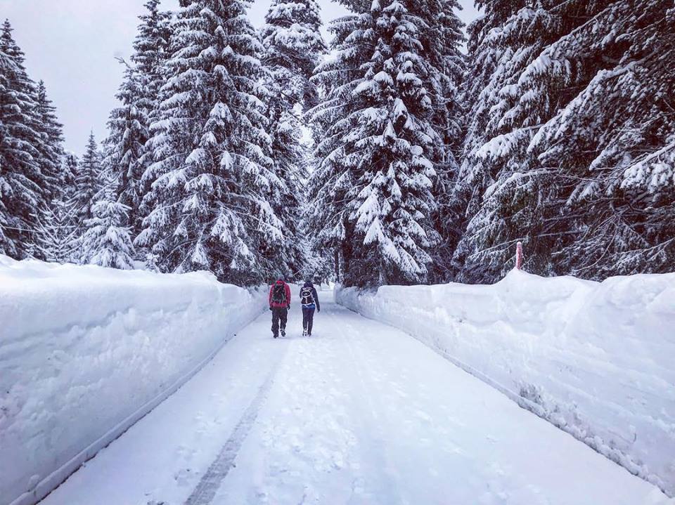 Winterwandern in Seefeld