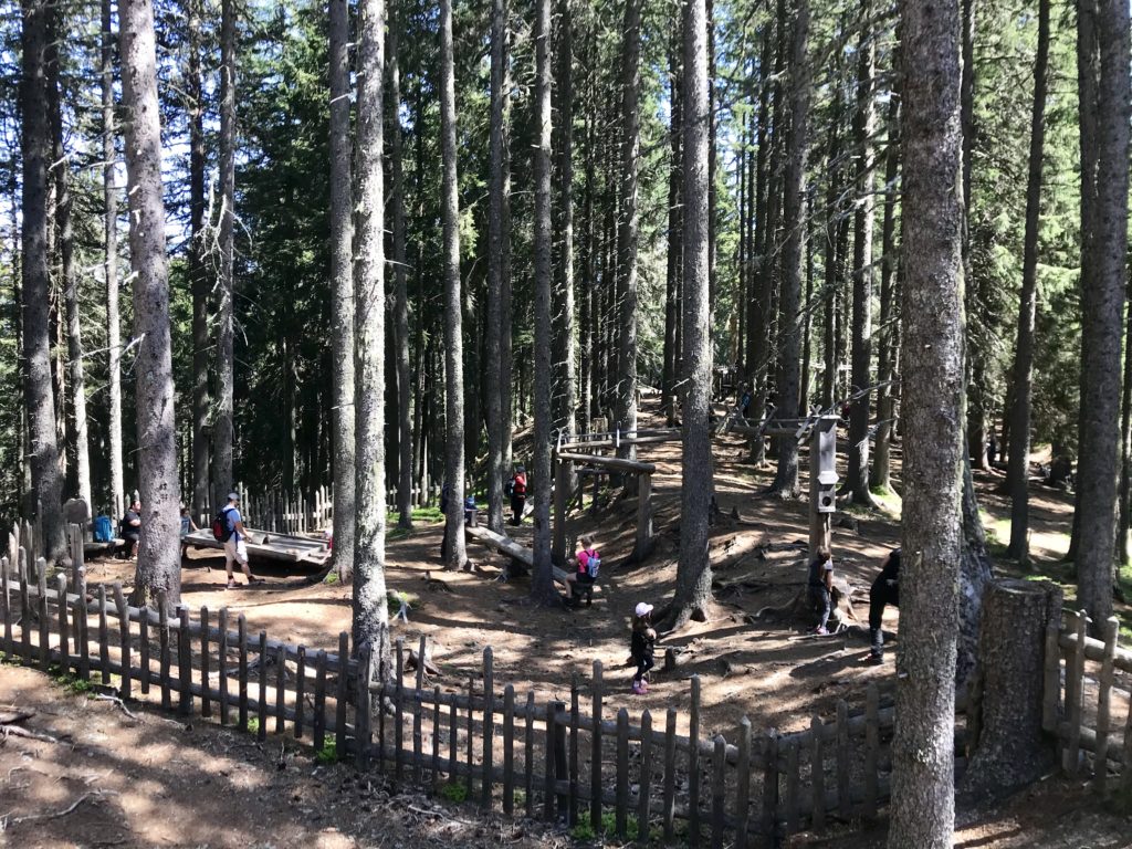 Der Kugelwald - ein riesiger naturnaher Spielplatz in Tirol