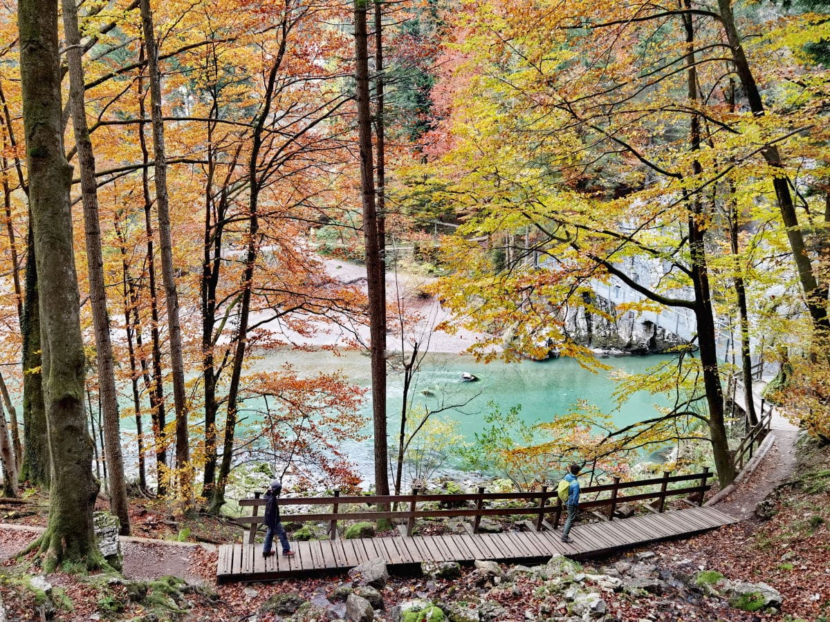 Der Reiseblogger +++ Meine Schönsten HERBSTWANDERUNGEN