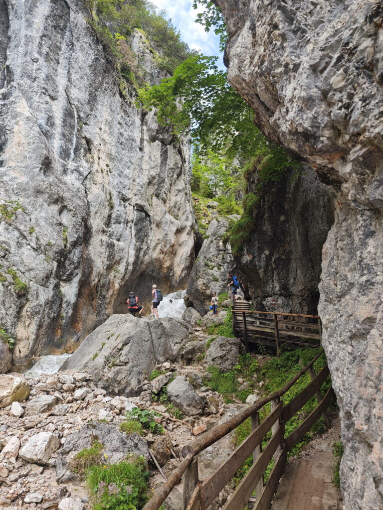 Felsen in der Siilberkarklamm