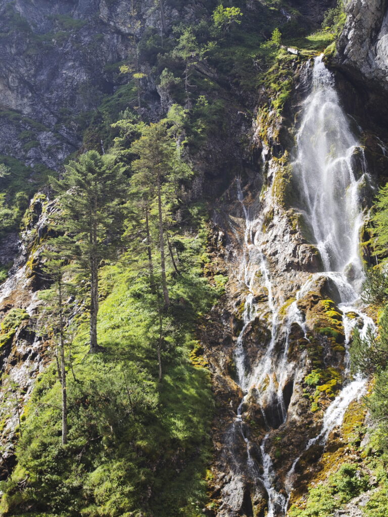 Silberkarklamm